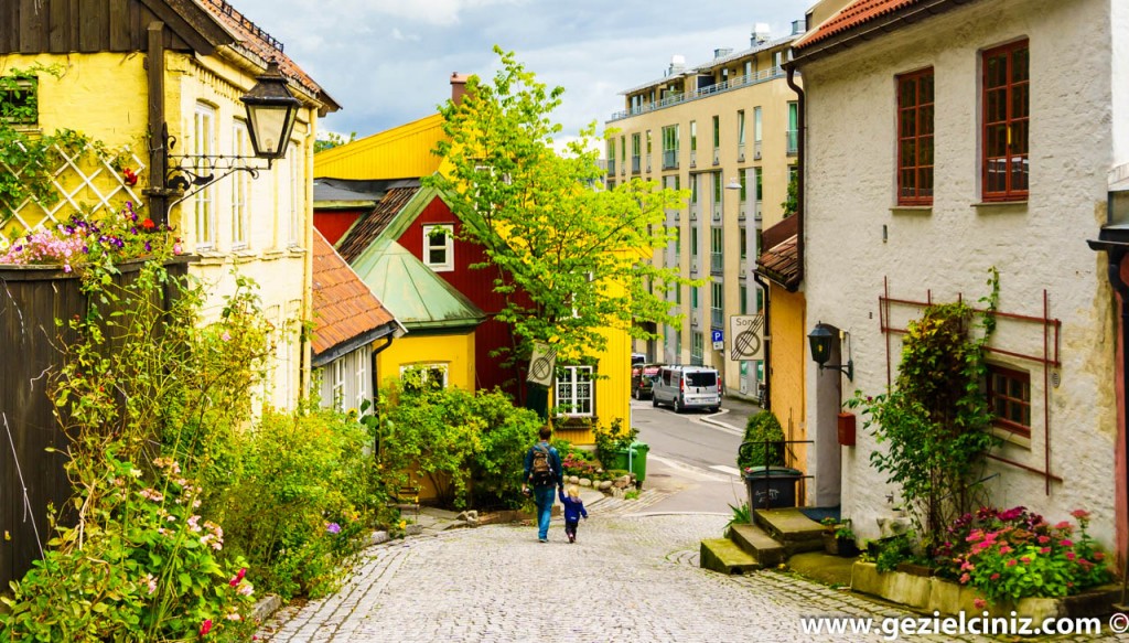 Oslo Houses street