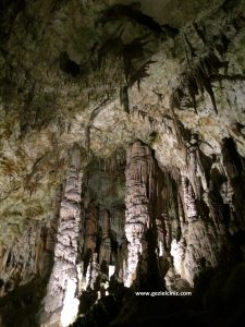 Postojna Mağarası 4